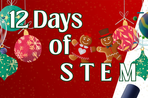 12 Days of STEM